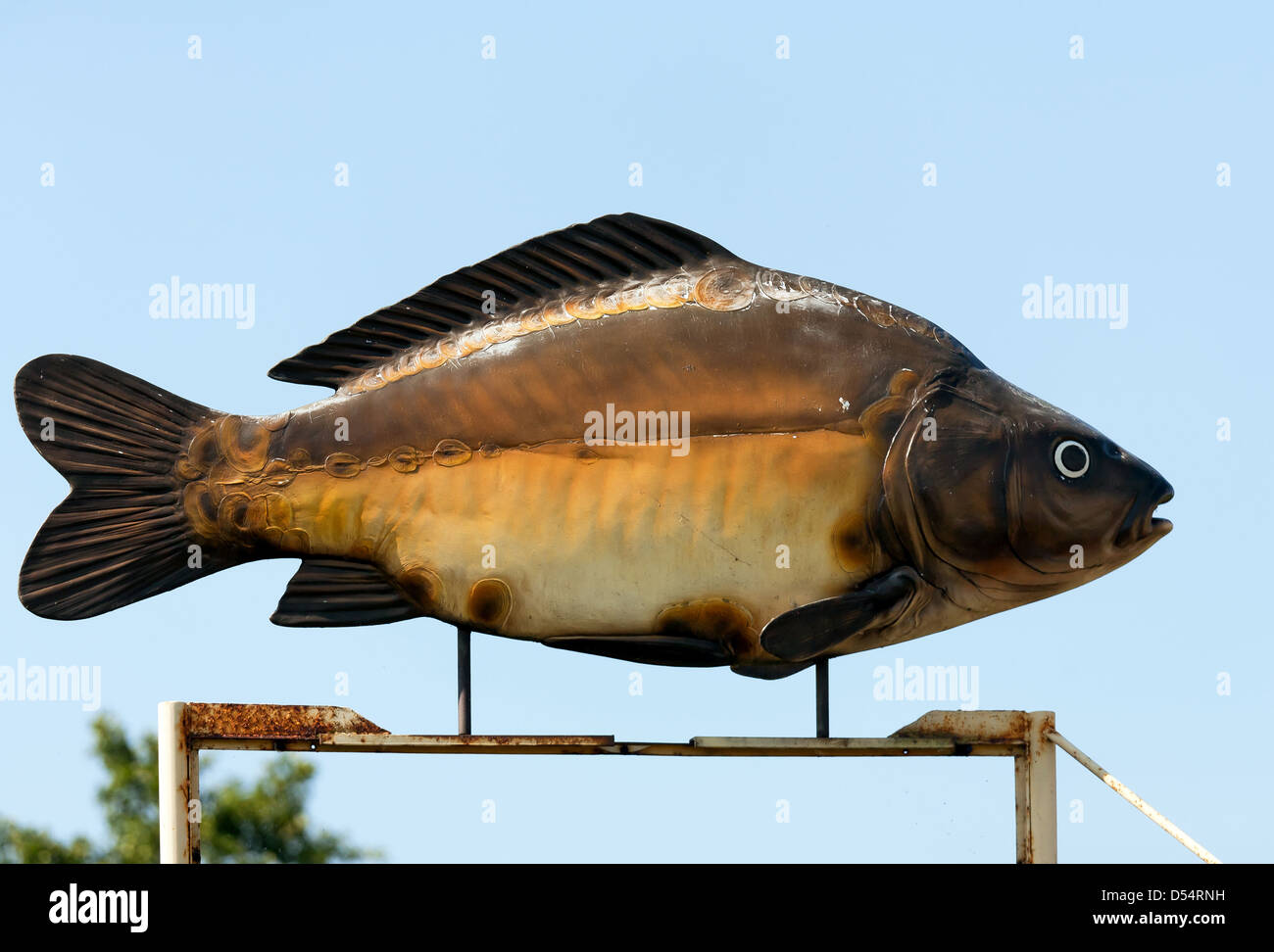 Kraschnitz, Poland, a large plastic fish indicates a state fish factory  Stock Photo - Alamy