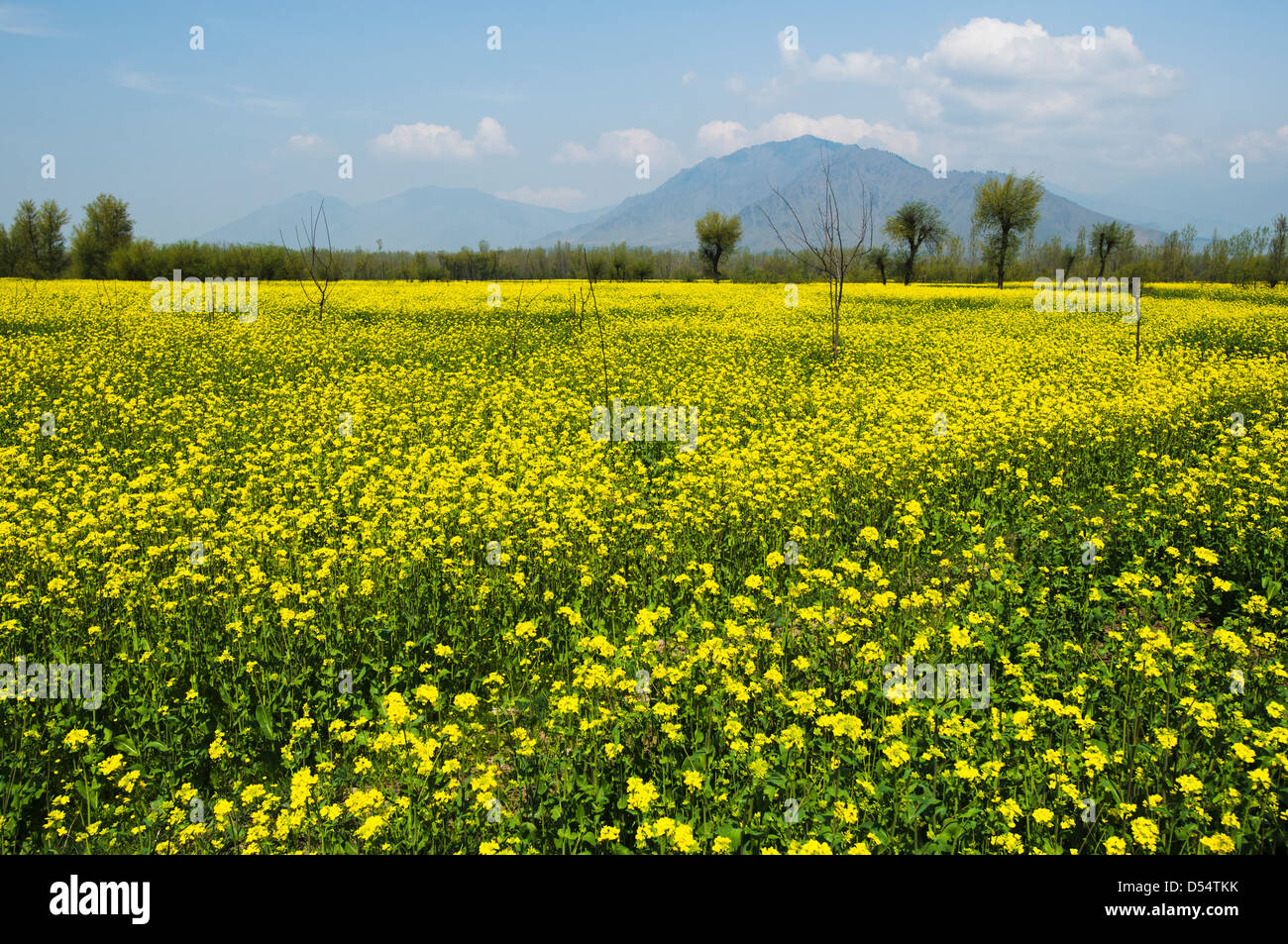 Pahalgam hires stock photography and images Alamy