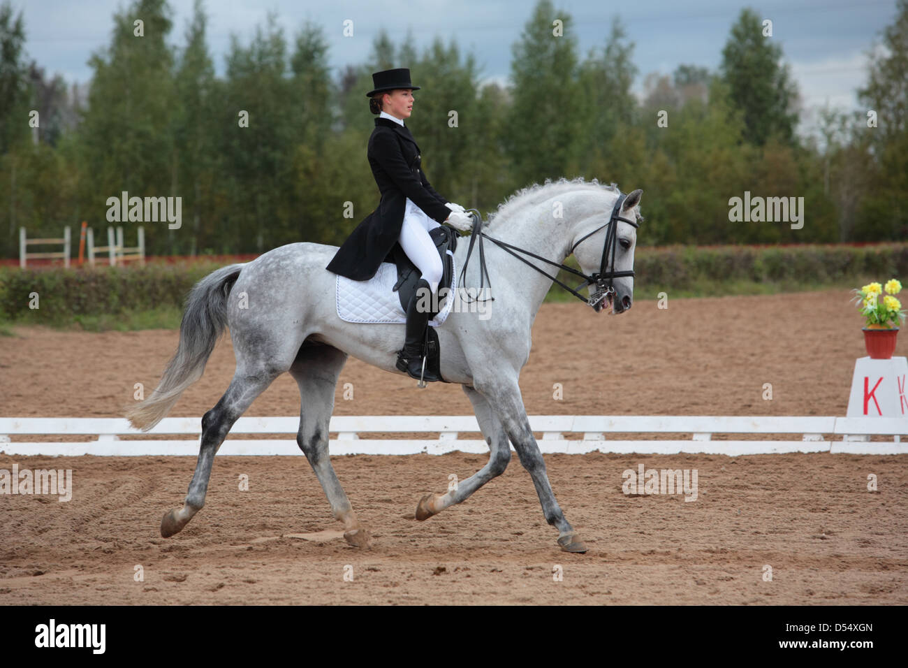 Reiten Frauen Reiten Frauen