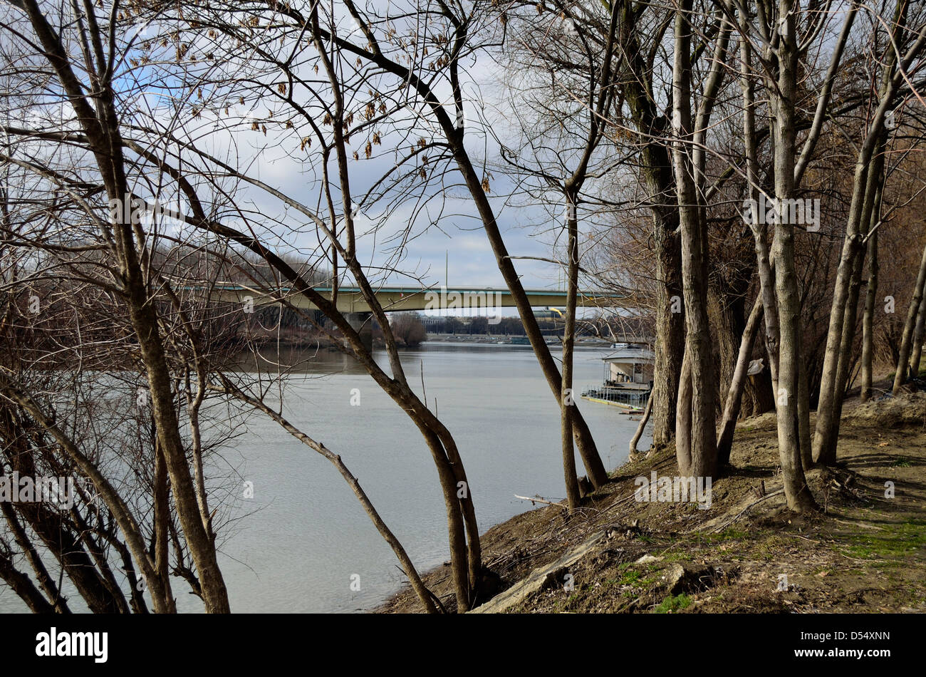 RIver bank landscape early spring Sleeping nature Tisza river Szeged Hungary Stock Photo