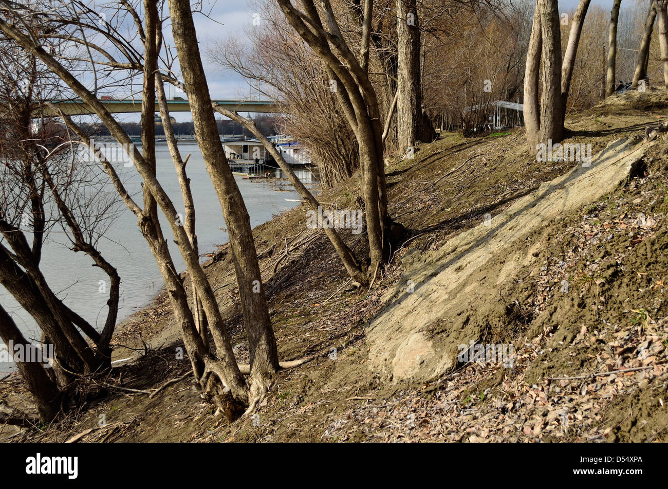 RIver bank landscape early spring Sleeping nature Tisza river Szeged Hungary Stock Photo
