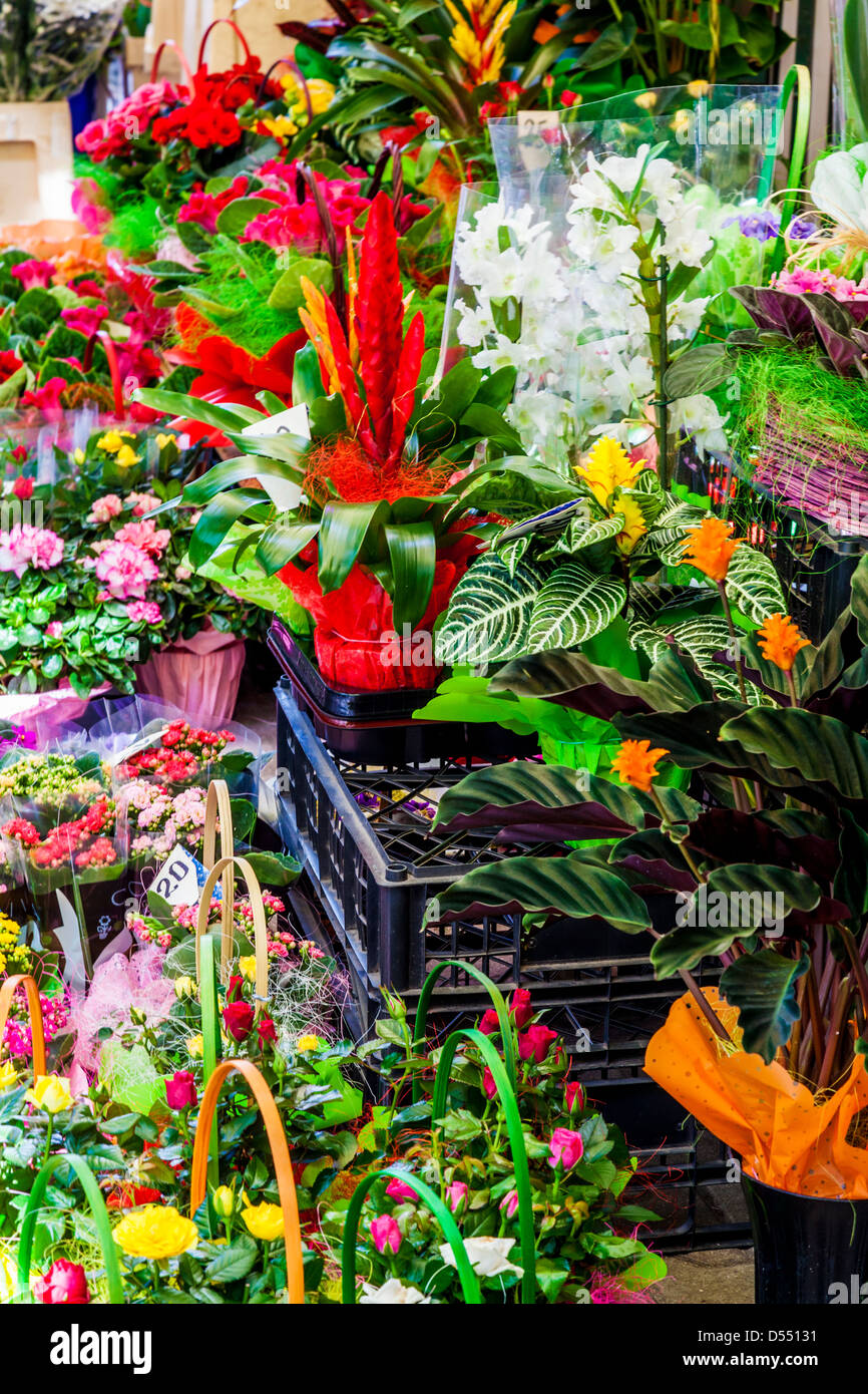 Close-up detail of a flower stall outside Hala Mirowska market in Warsaw, Poland. Stock Photo