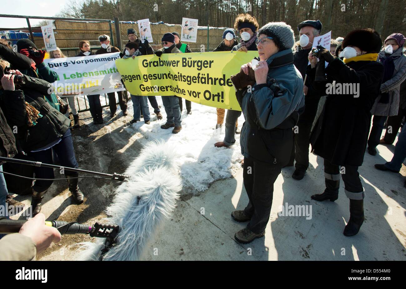 Environmentalists and animal rights activists protest  against animal testing in front of stables of the stud farm Lewitz in Grabow, Germany, 25 March 2013. A A scientific study, in which a vaccination with genetically modified bacteria shall be tested on foals, shall start at the stud farm at the beginnnig of the season. Photo: Jens Buettner Stock Photo