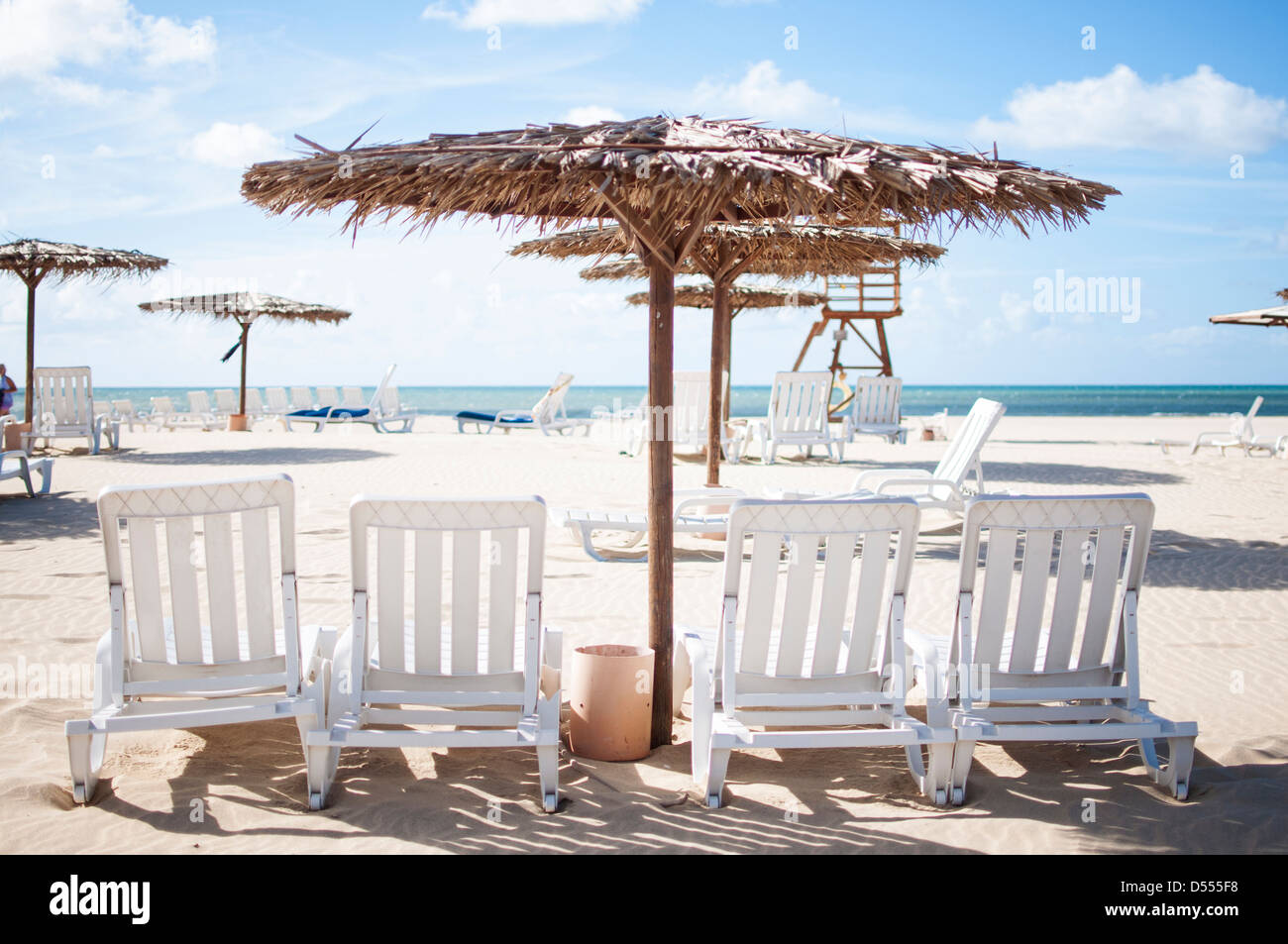Lawn chairs and umbrella on beach Stock Photo Alamy