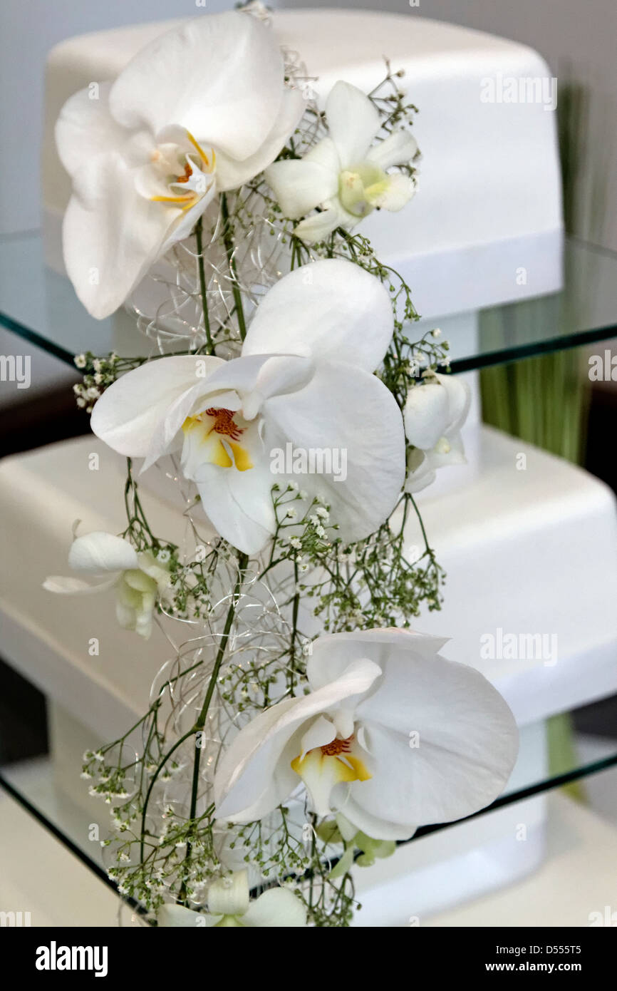 A wedding cake decorated with white Phalaenopsis and Dendrobium orchids Stock Photo