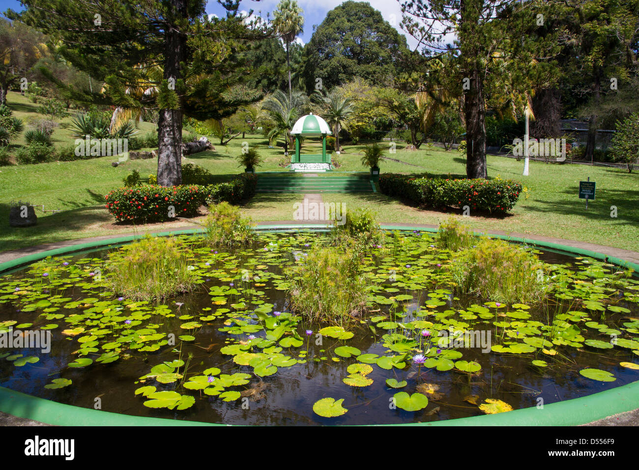 St.Vincent Kingstown, Botanical gardens Stock Photo Alamy