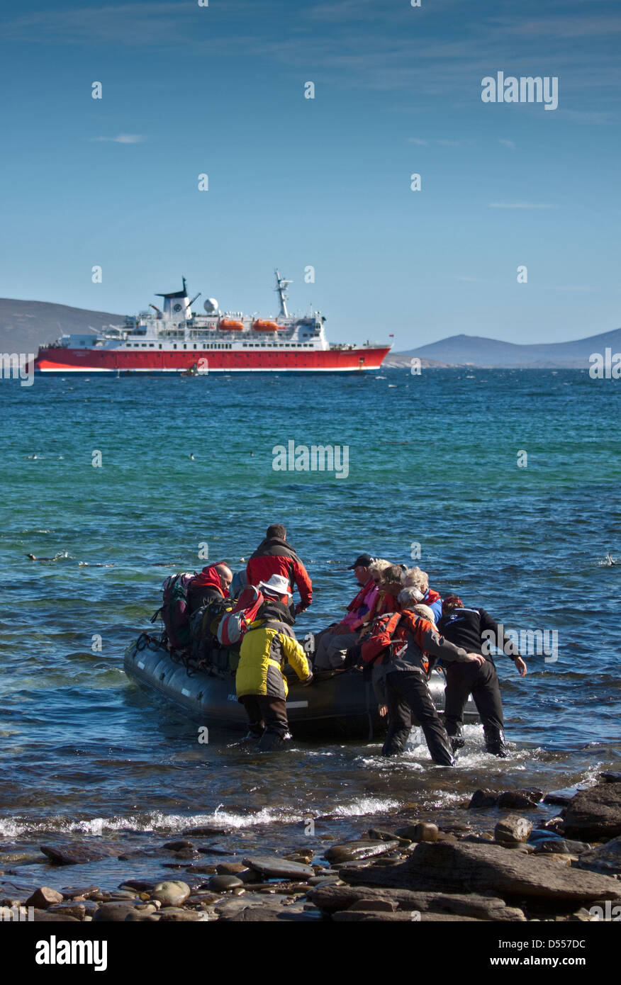 MS Expedition and Passengers embarking on a Zodiac, Saunders Island, Falklands Stock Photo