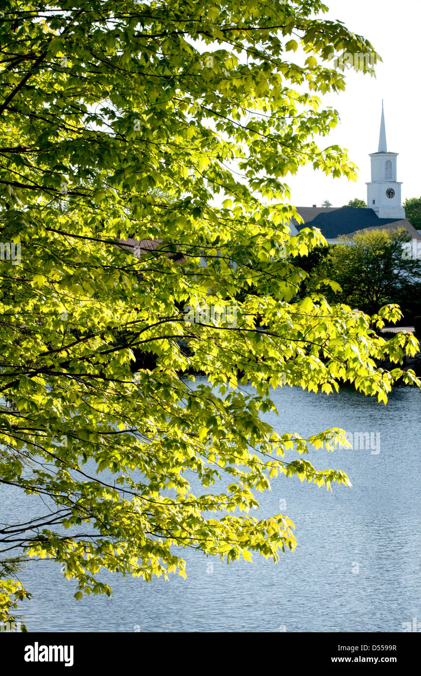 Spring, tree, green leaves, church, water, religion, nature Stock Photo