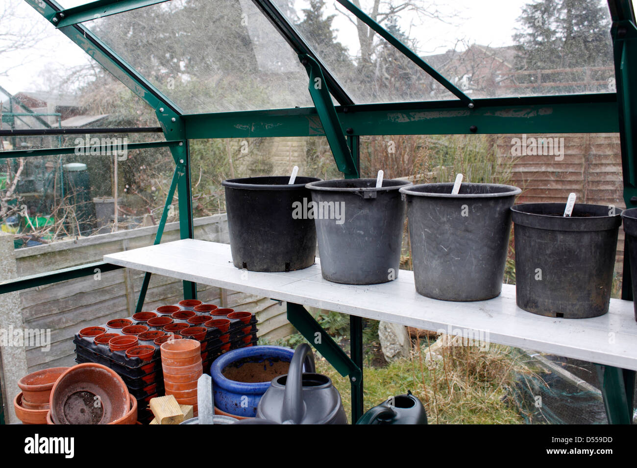 PLASTIC FLOWERPOTS ON A GREENHOUSE SHELF. UK Stock Photo Alamy