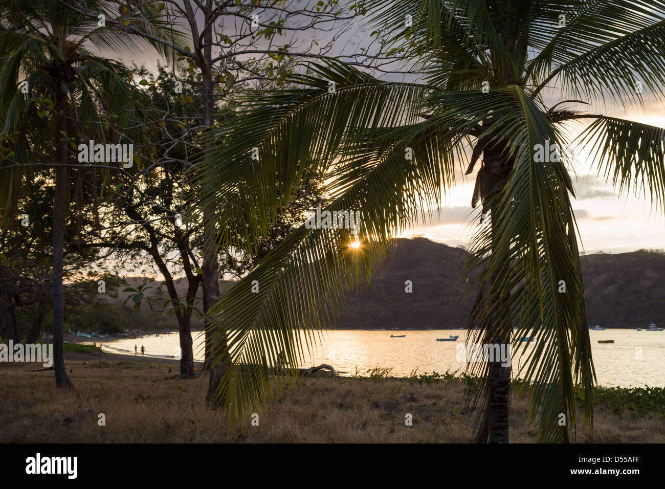 Palm trees and setting sun at Coco Beach, Playas del Coco, Guanacaste Province, Costa Rica. Stock Photo