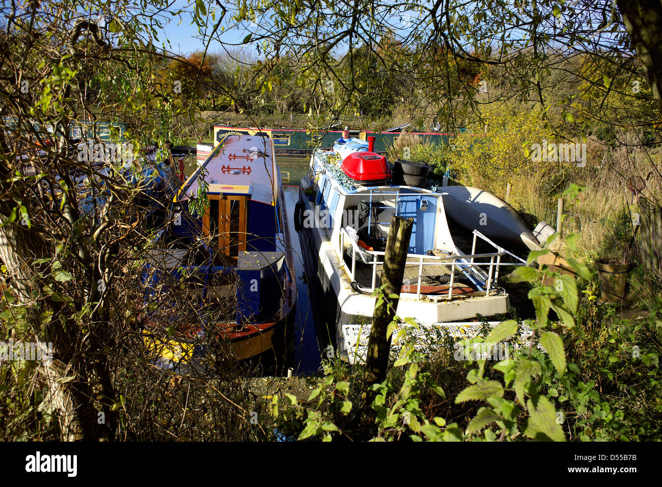 Narrowboats on the South Oxford Canal Heyford Wharf Upper Heyford Oxfordshire England UK GB Lower Heyford narrowboat boat colour Stock Photo