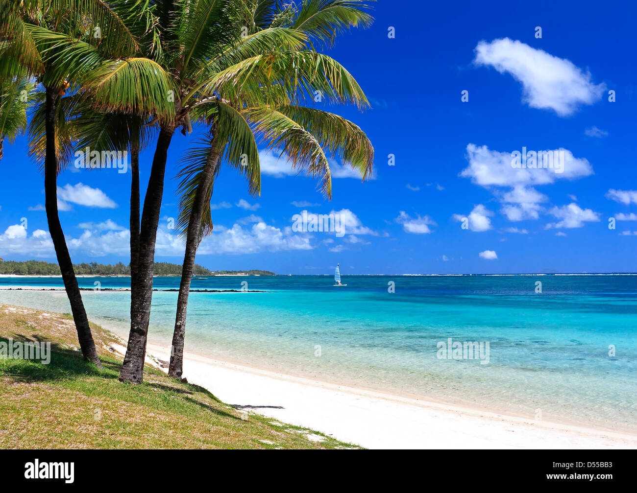 beautiful beach in Mauritius island with palms and ocean Stock Photo