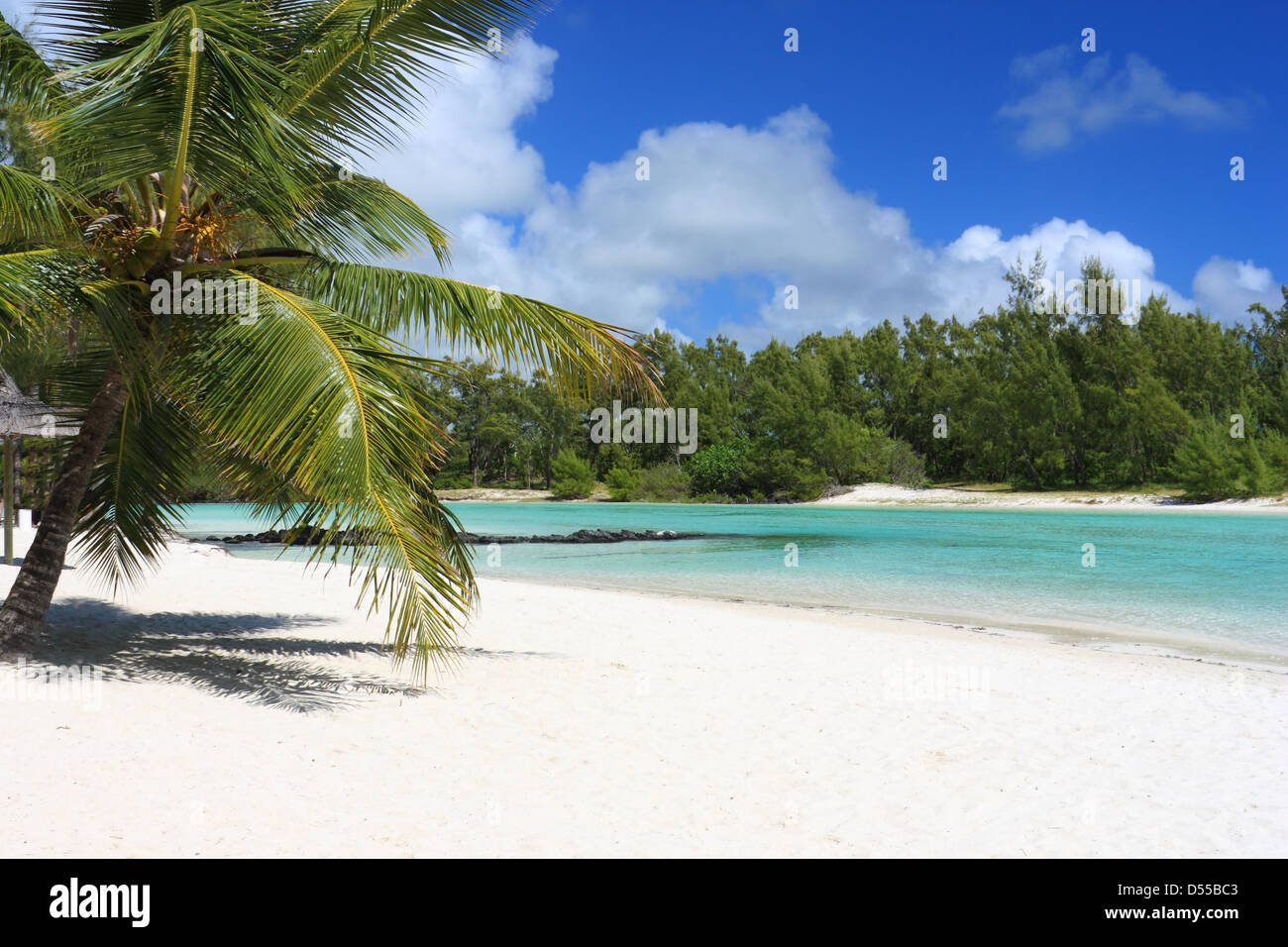 beautiful beach in Mauritius island with palms and ocean Stock Photo ...
