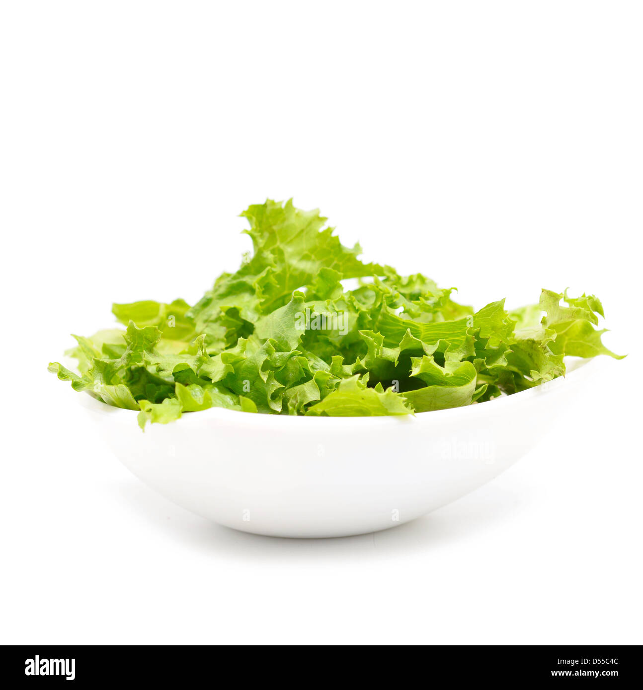 fresh lettuce salad on white Stock Photo