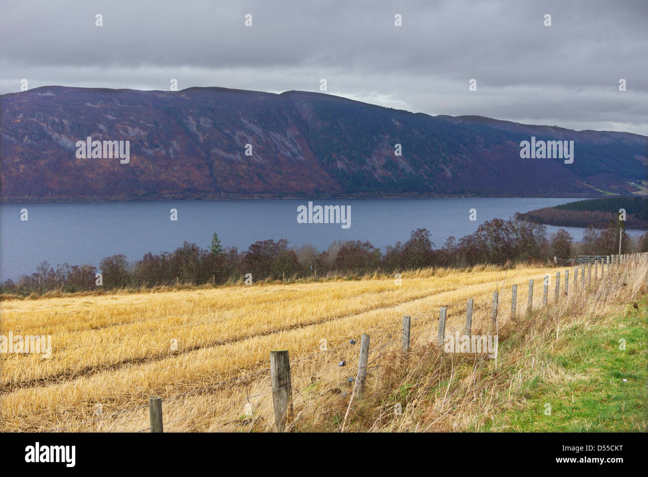 View from the south side of Loch Ness, Inverness-shire, Scotland Stock Photo