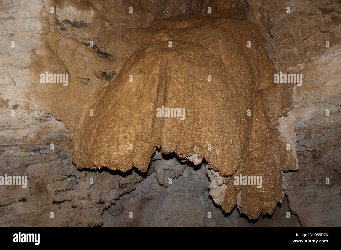 Limestone formations and crystal tapestries in Ruakuri Cave in Waitomo District in New Zealand.  Tropfsteine der Ruakuri-Höhle Stock Photo