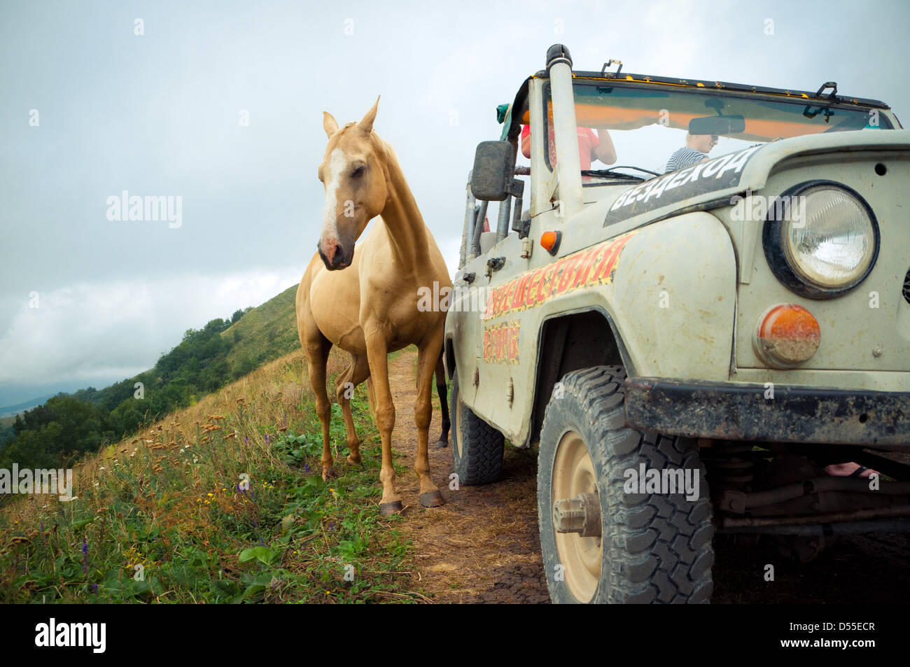 Soviet and Russian suv UAZ and horse Stock Photo