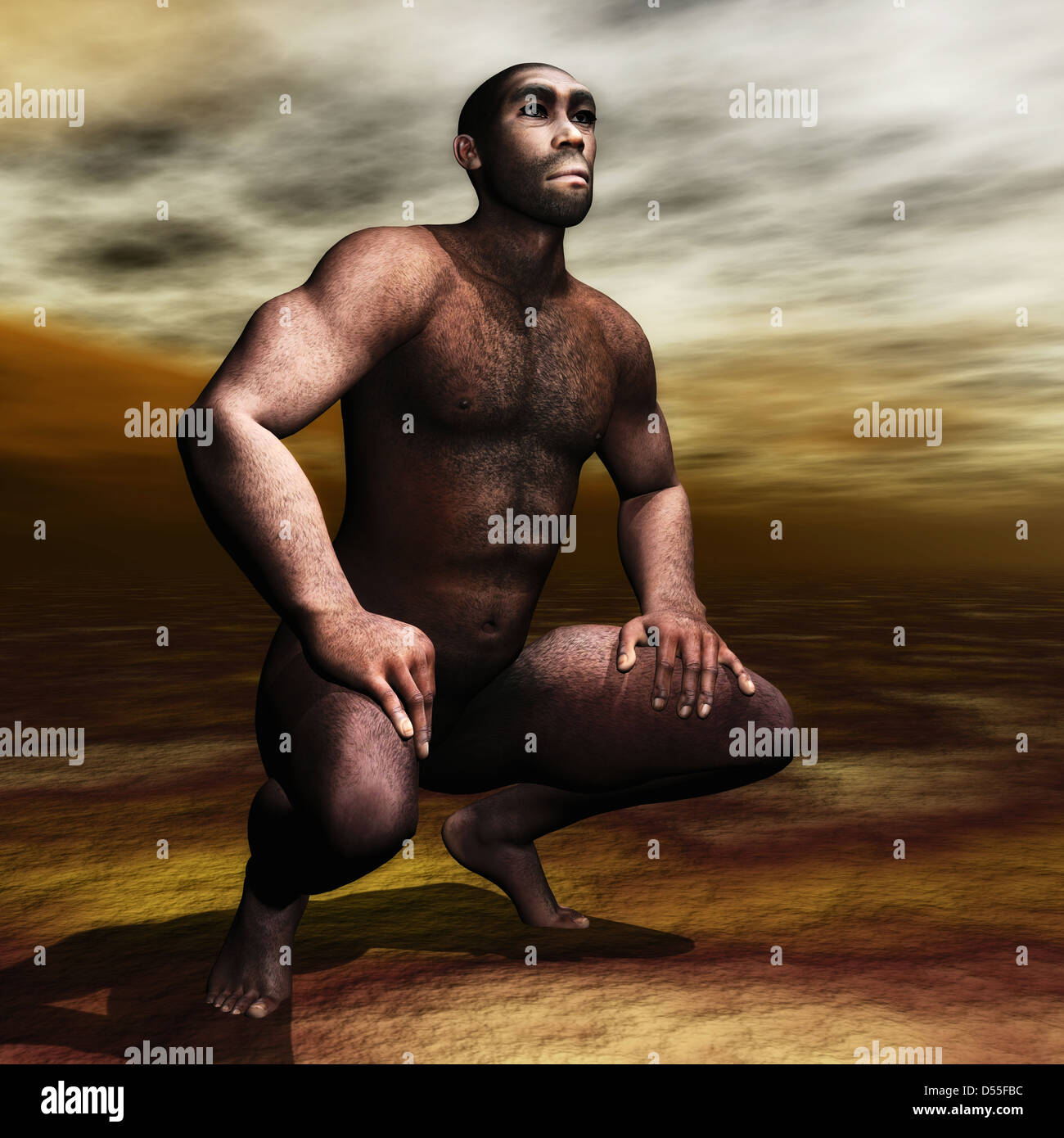 Homo Erectus Stock Photo