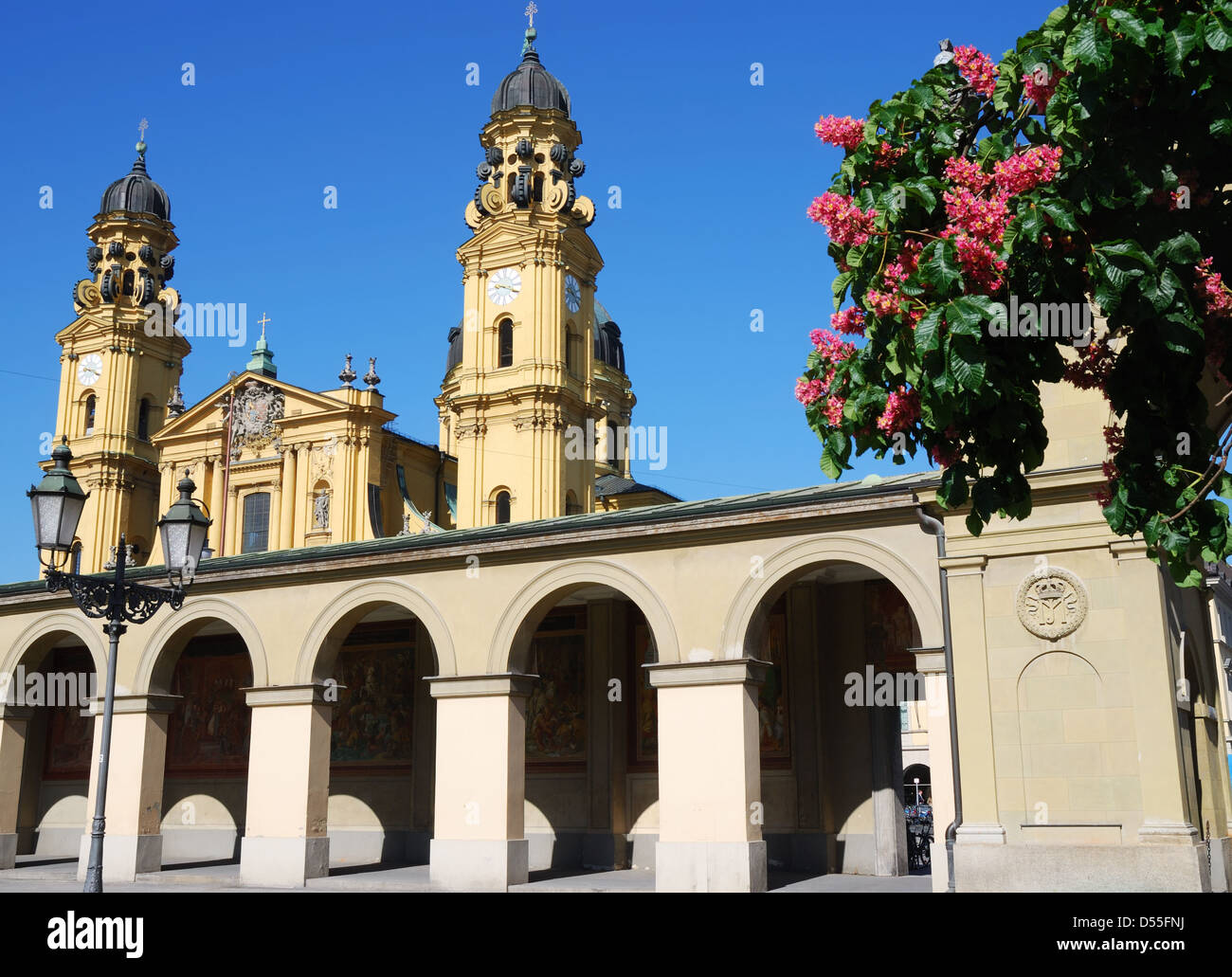 Theatiner church in Munich with flowering trees Stock Photo