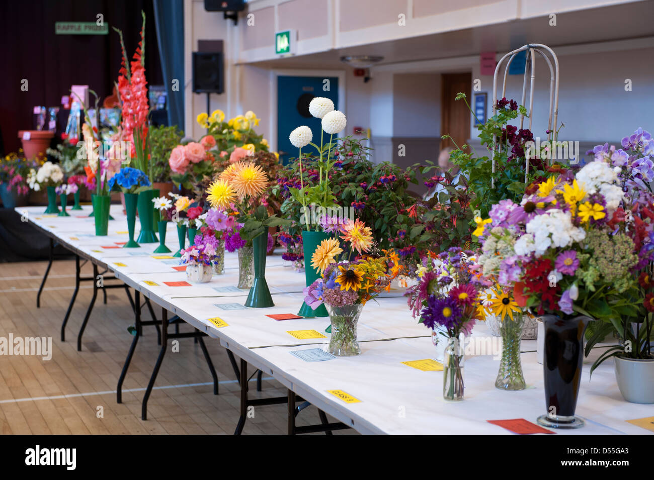 Burley in wharfedale gardeners association show hires stock