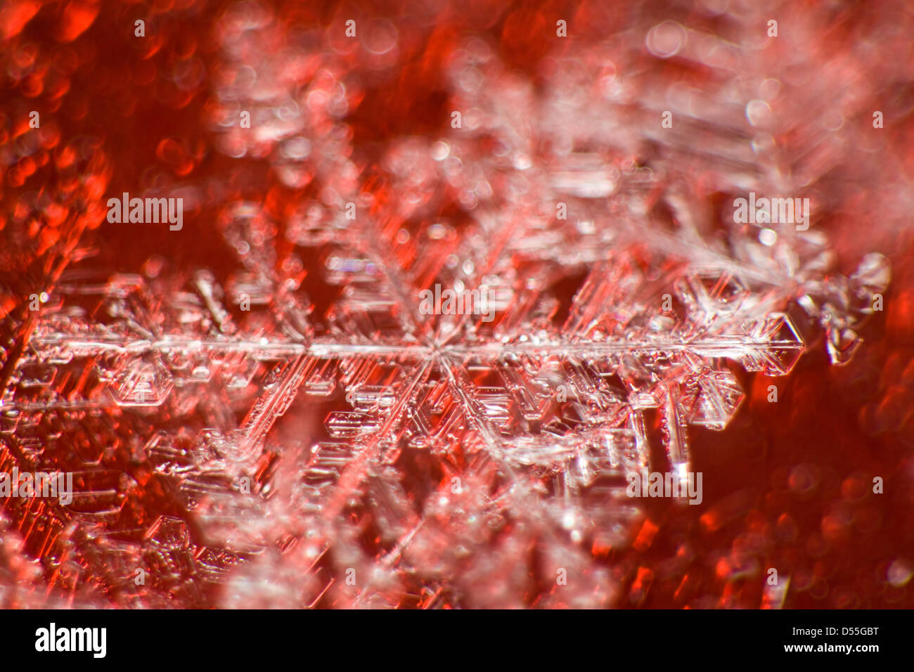 Berlin, Germany, Close-up of ice crystals Stock Photo
