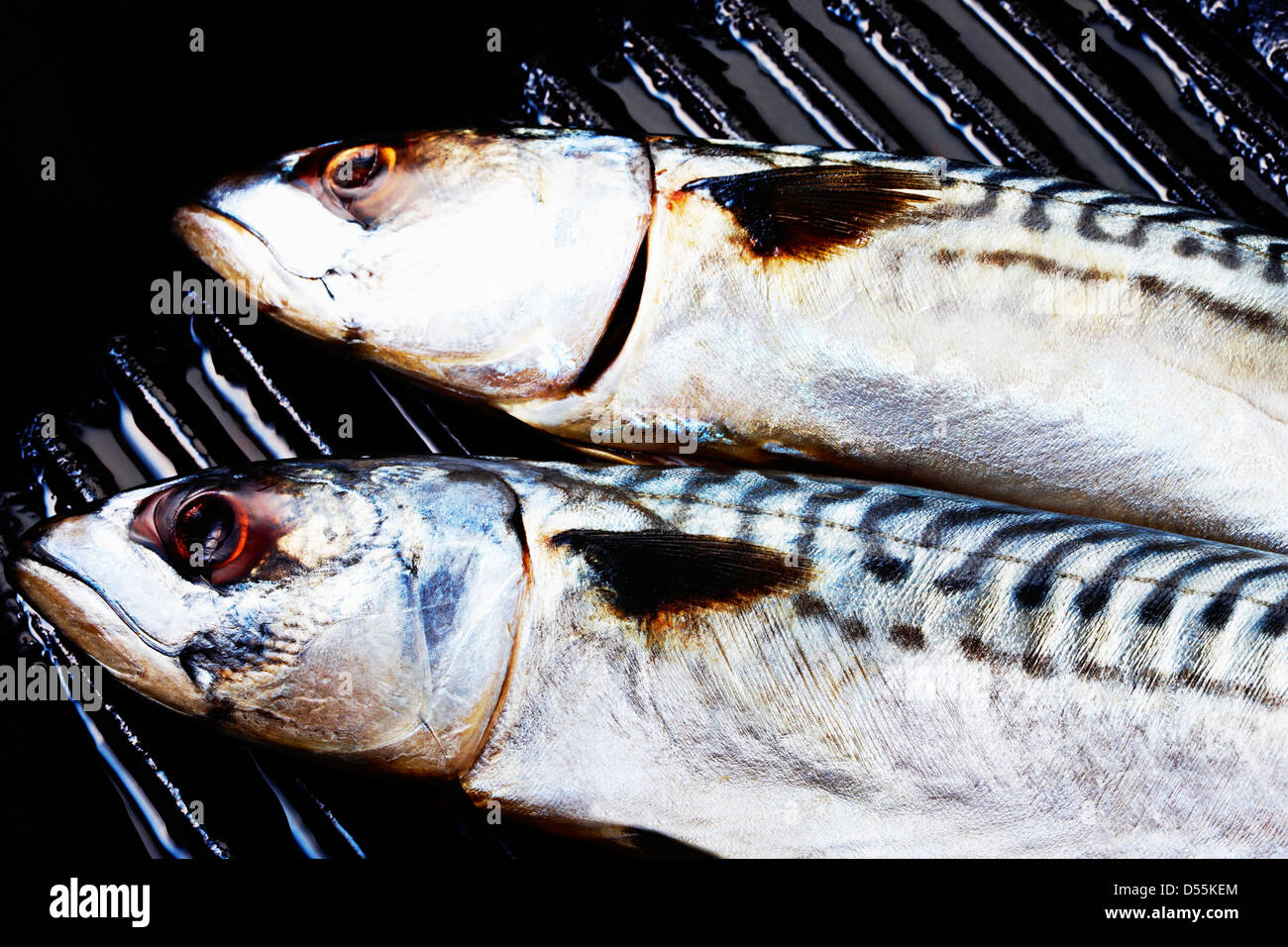 two mackerel in a griddle Stock Photo