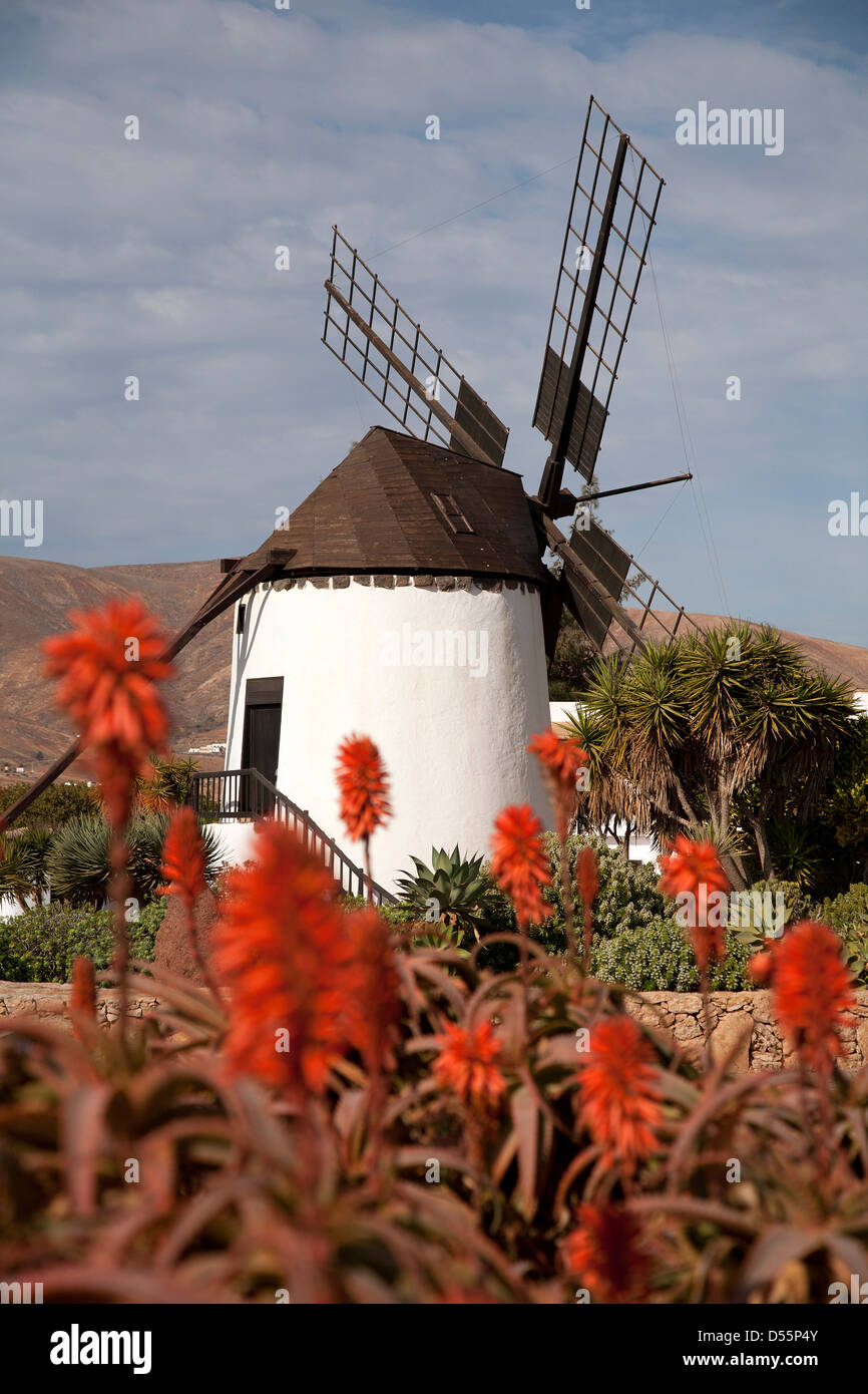 Antigua, Spain, windmill Molino de Antigua on the Canary Island of Fuerteventura Stock Photo