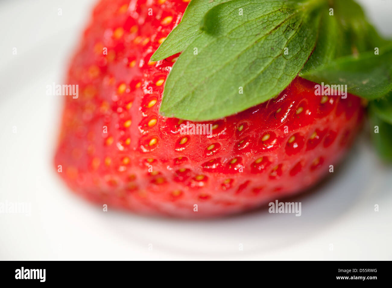 Strawberry seed closeup hires stock photography and images Alamy