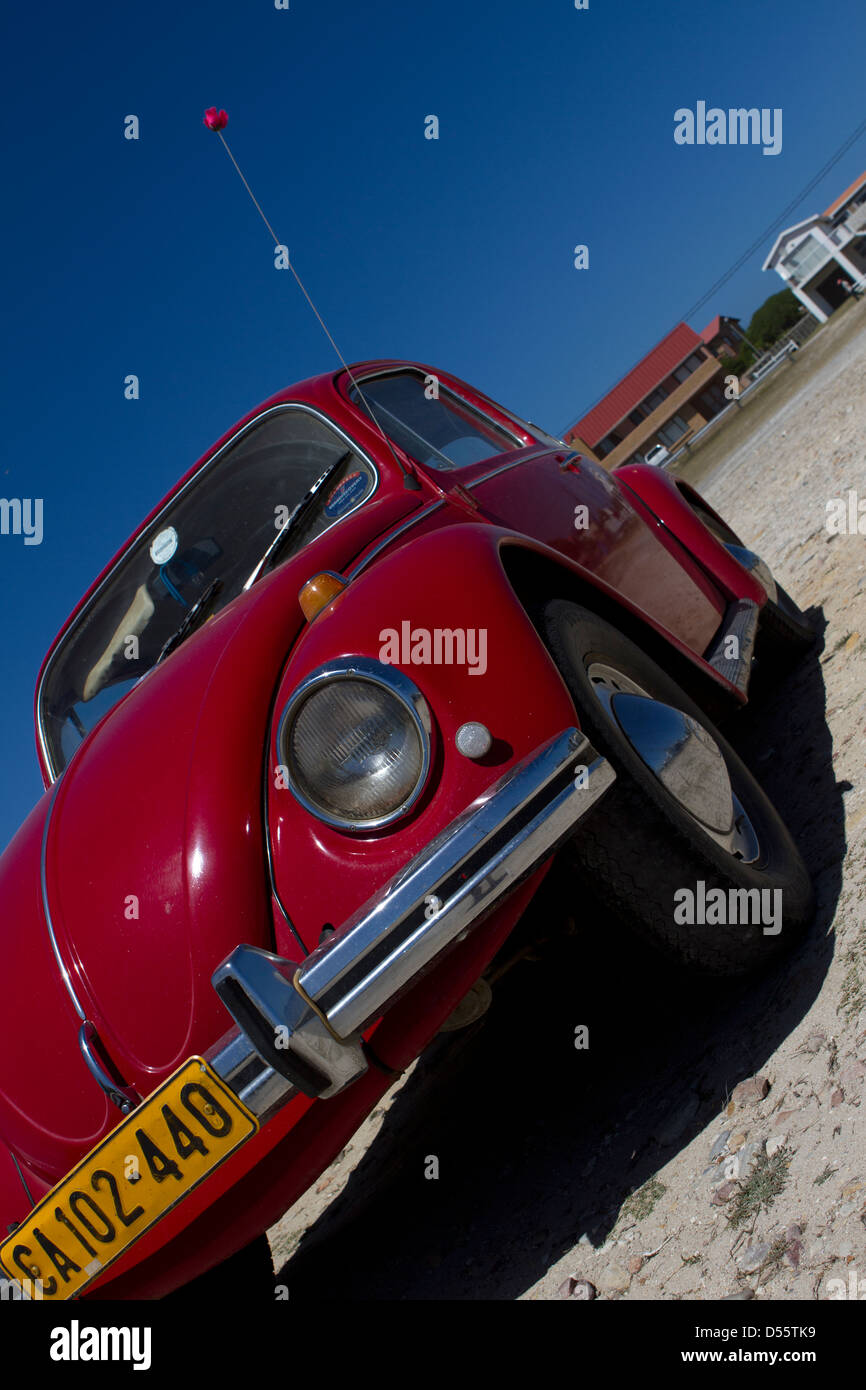Red Volkswagen Beetle in a car park, Struisbaai Stock Photo - Alamy