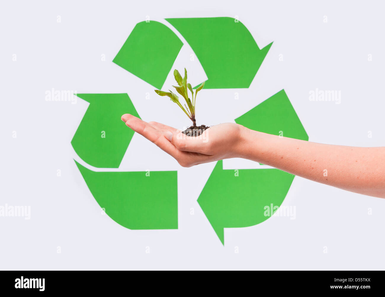 growing new plants Stock Photo Alamy