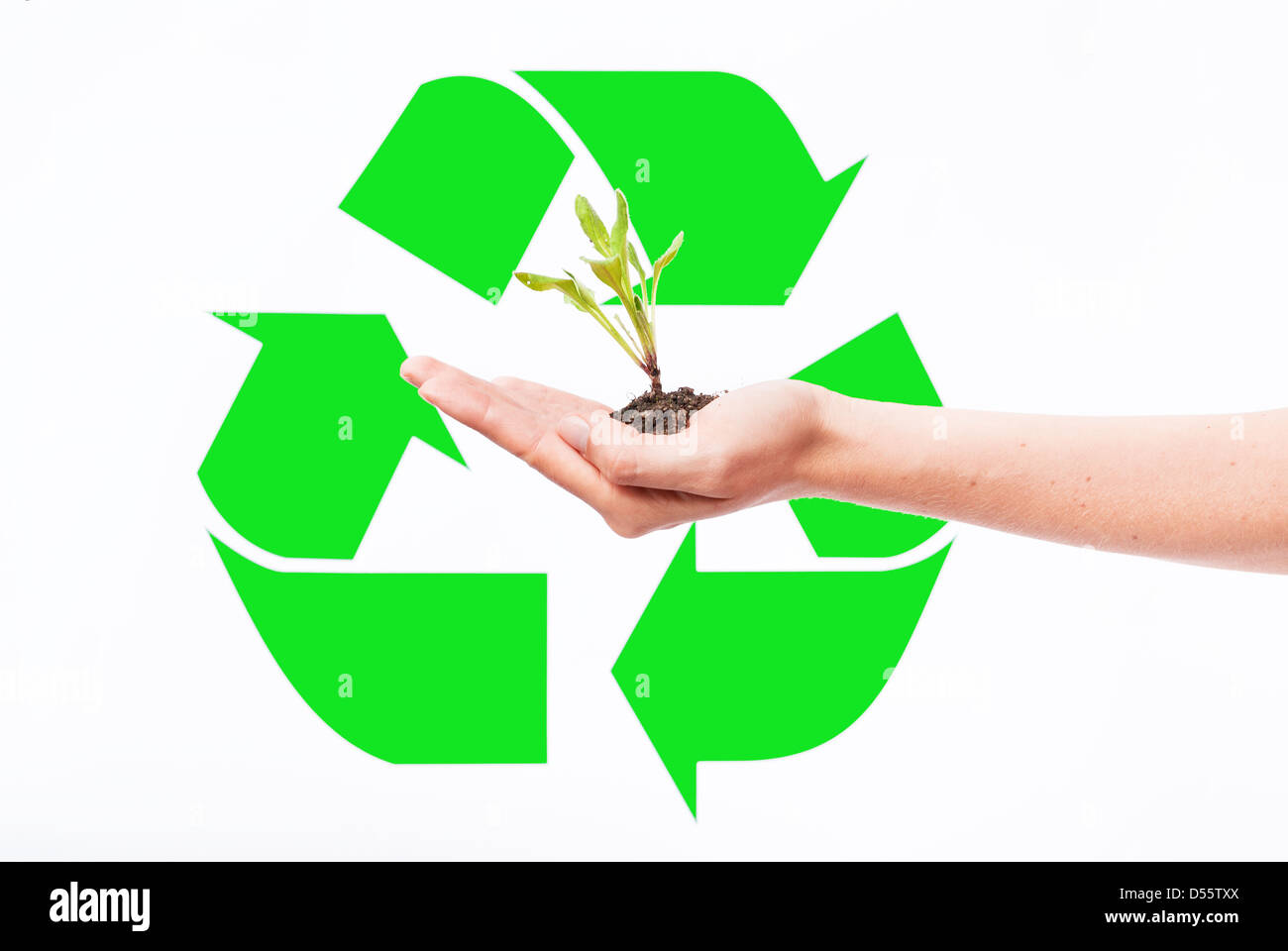 growing new plants Stock Photo Alamy