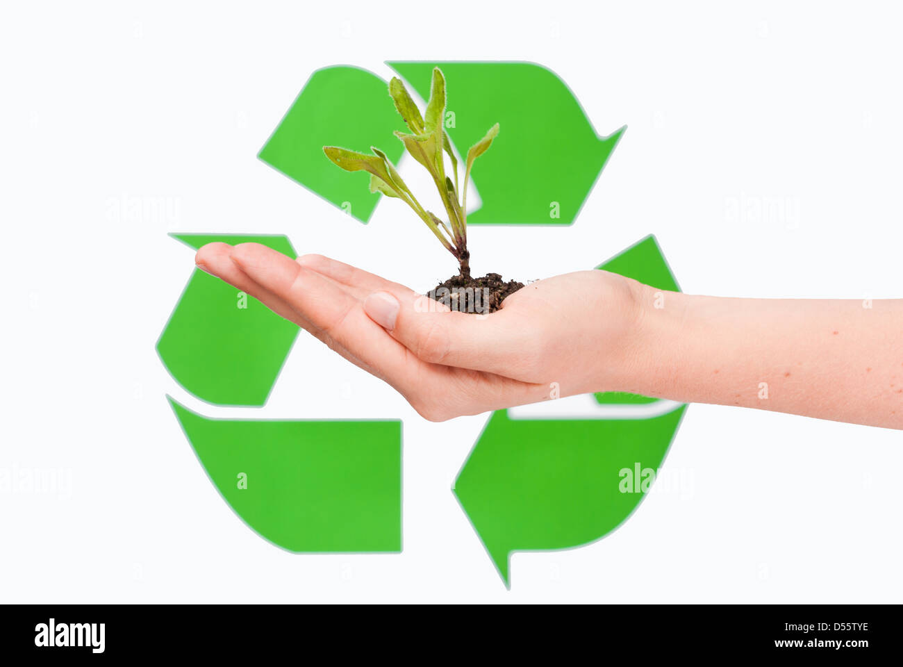 growing new plants Stock Photo Alamy