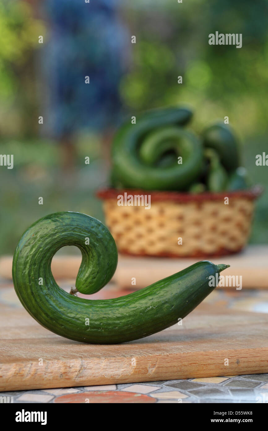 cucumbers Stock Photo