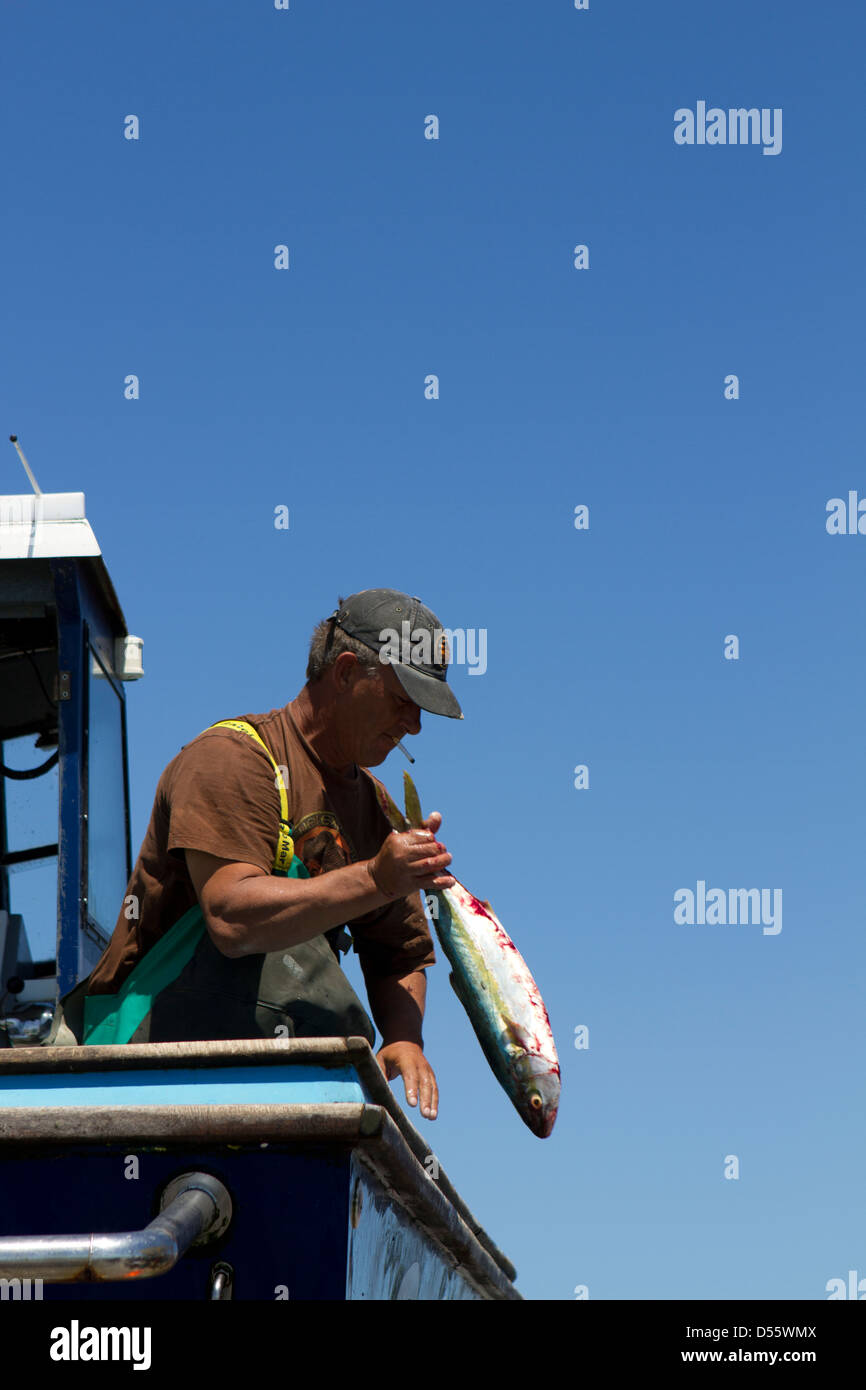 Fisherman helping to unload his catch. Stock Photo