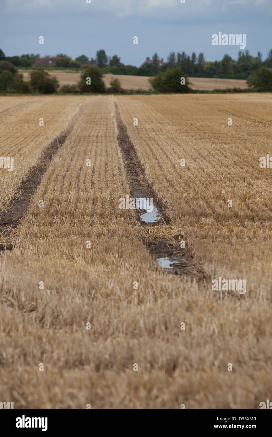Sodden tracks in a recently harvested field during a very wet summer ...