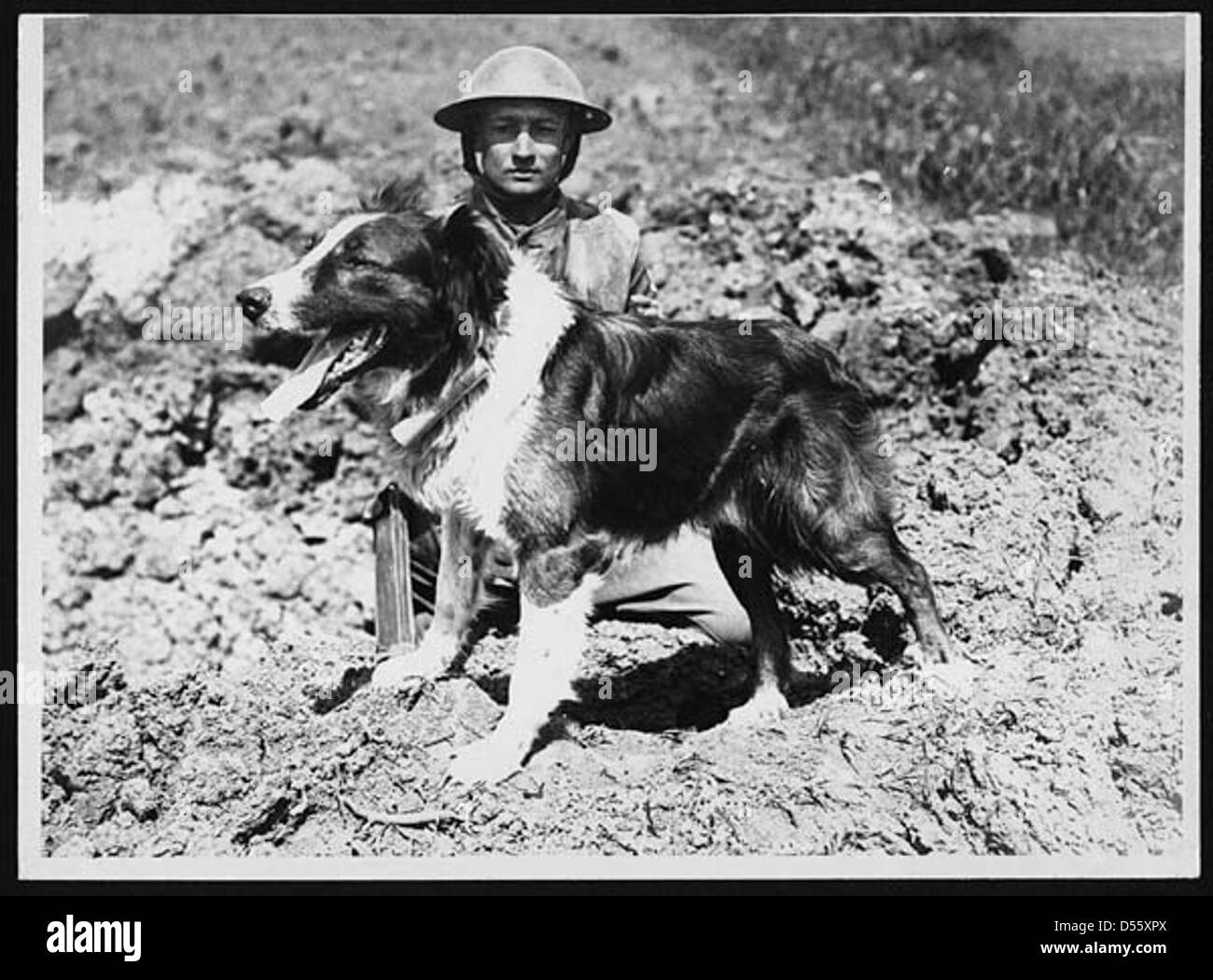 Messenger dog with its handler, in France, during World War I Stock Photo