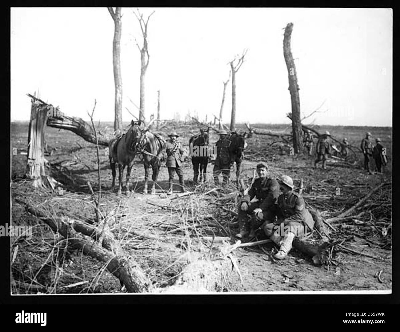 Cavalry 1914 Black and White Stock Photos & Images - Alamy