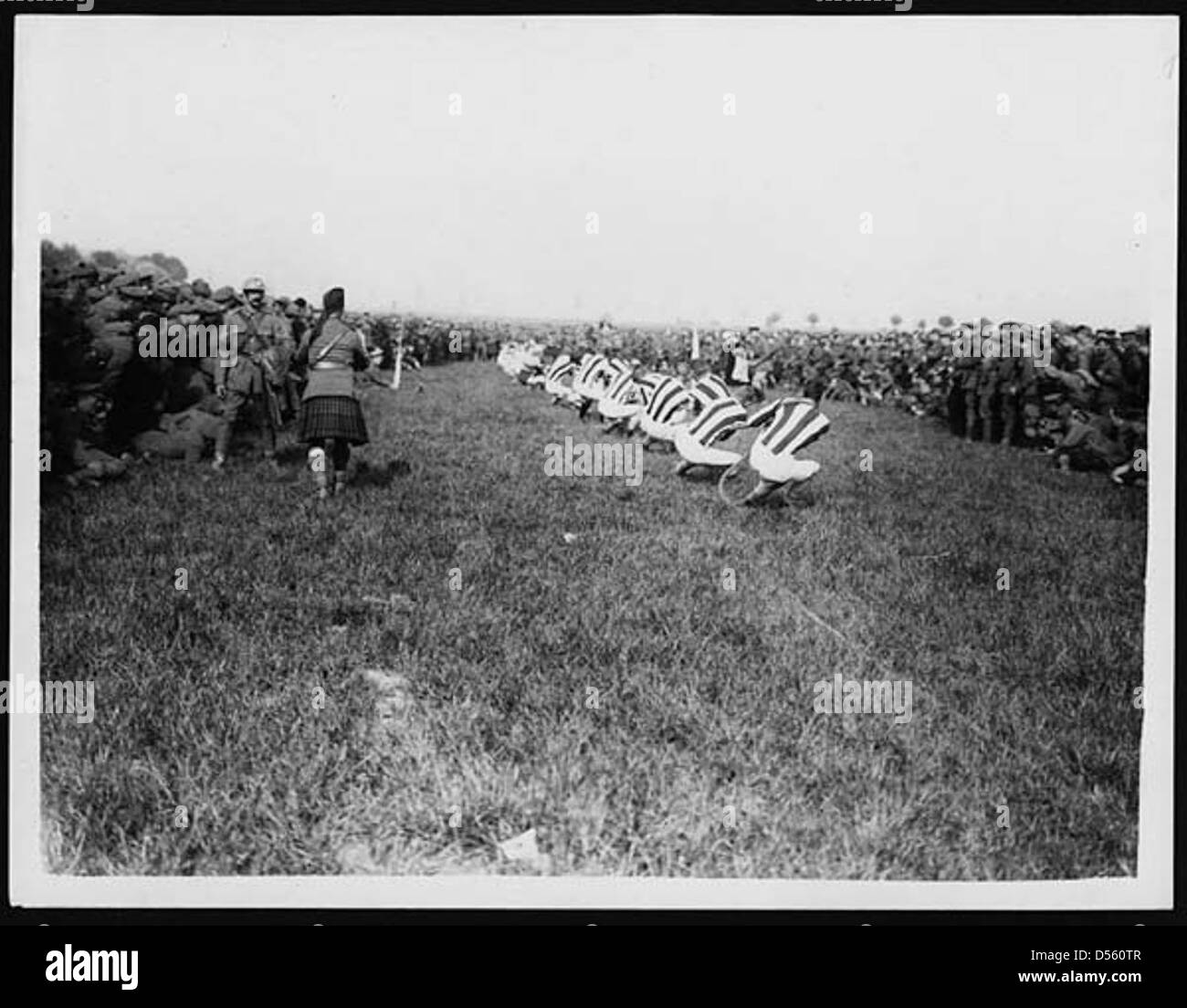 Tug of War Stock Photo Alamy