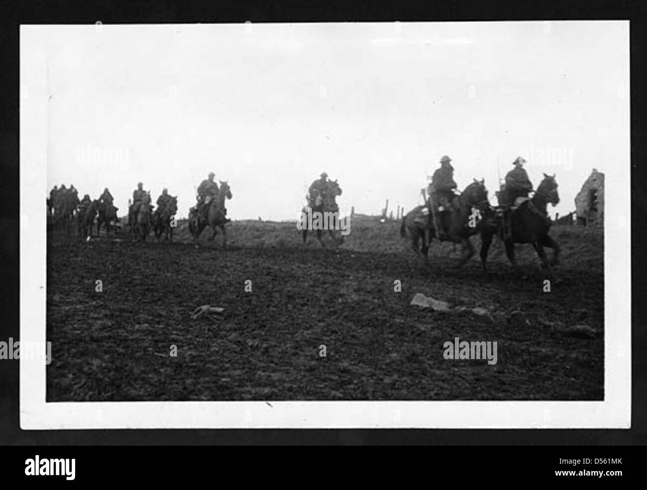 British cavalry world war one Black and White Stock Photos & Images - Alamy