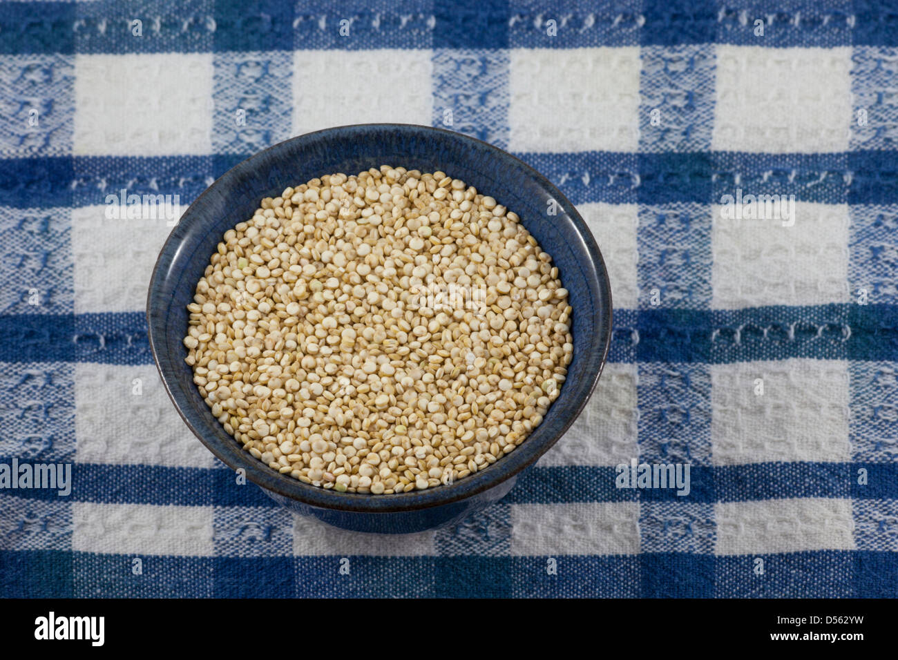 Organic golden (white) quinoa (Chenopodium quinoa) on blue and white checked tablecloth Stock Photo