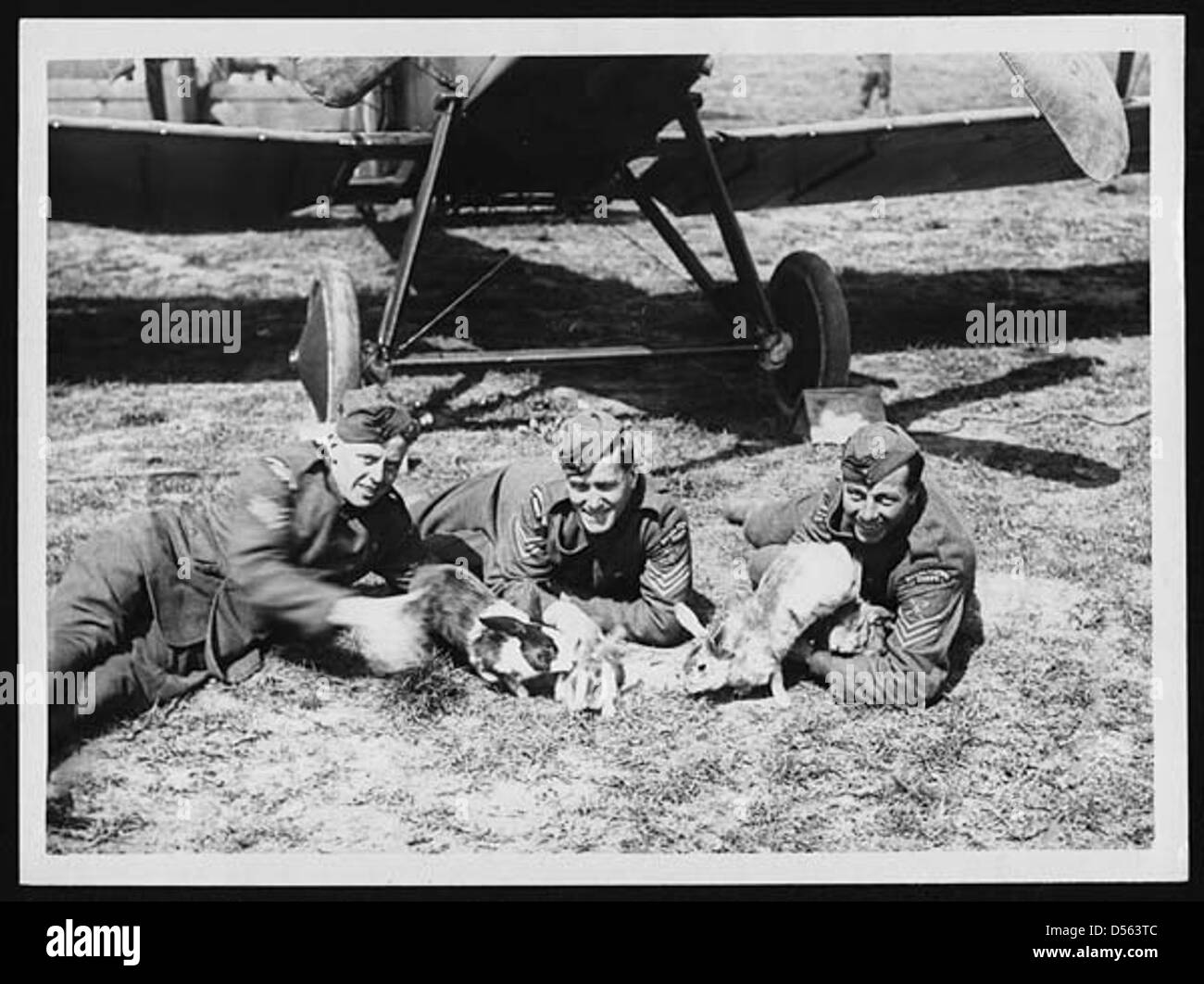 Rabbits from the front Black and White Stock Photos & Images - Alamy