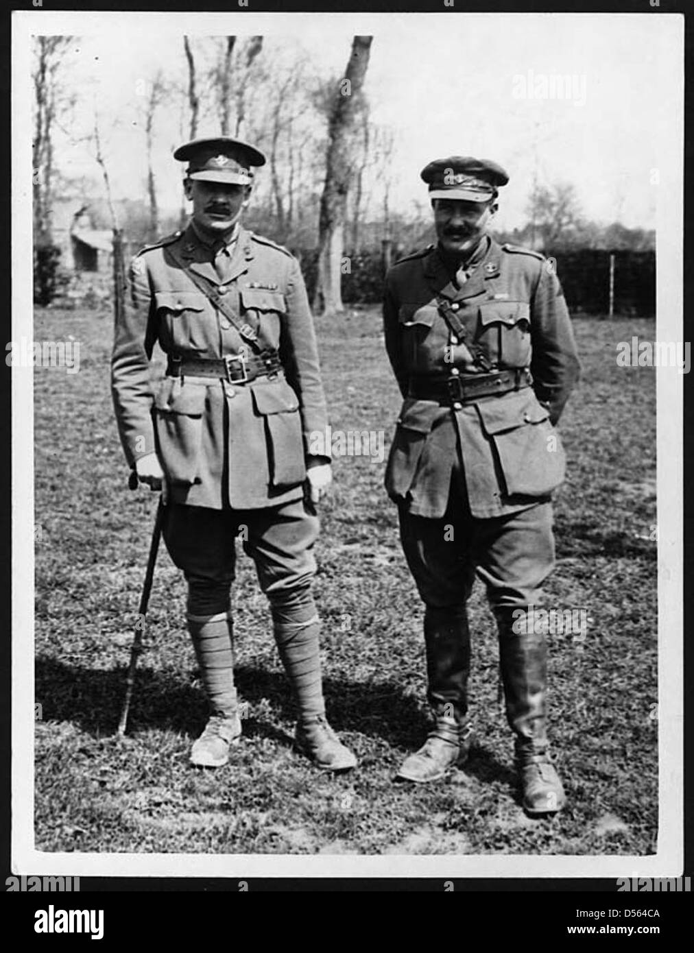 Senior officers of the Newfoundland Regiment Stock Photo - Alamy