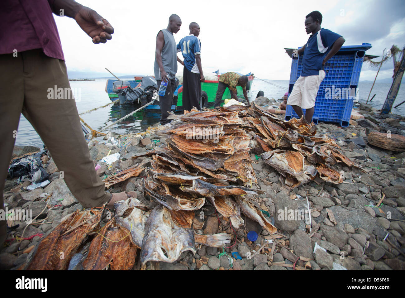 Fishermen sorting dried Nile Perch (Lates niloticus) for export, Remba Island, Lake Victoria, Kenya. Stock Photo