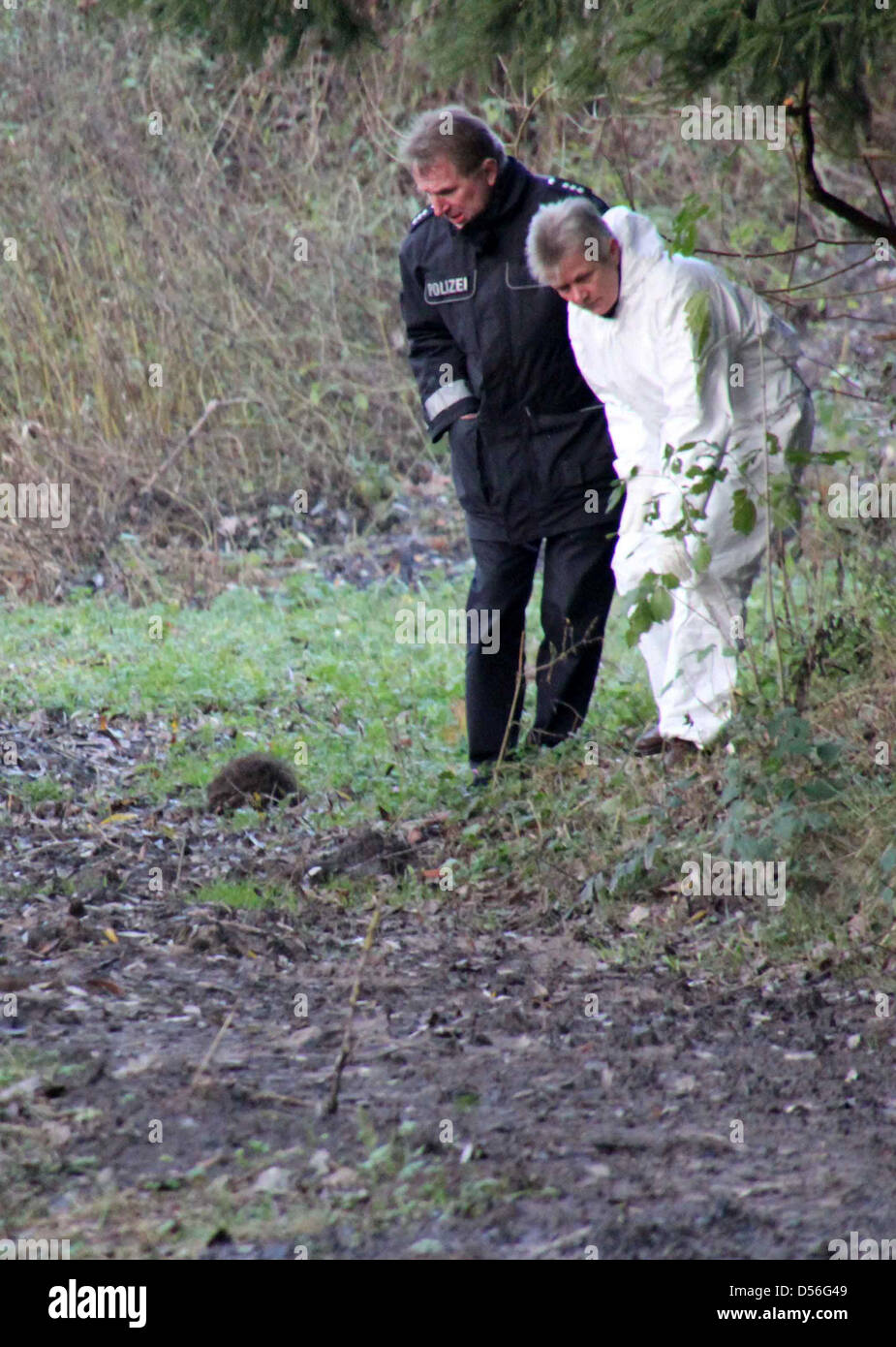 Policemen look for clues after two adolescents, a boy and a girl, have been found dead in Bodenfelde, Germany, 21 November 2010. The cause of death has yet to be determined. Photo: STEFAN RAMPFEL Stock Photo