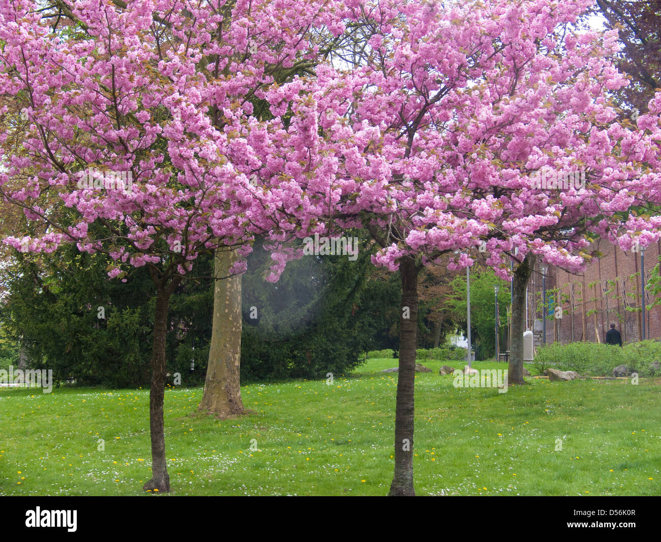 eupen,belgium Stock Photo