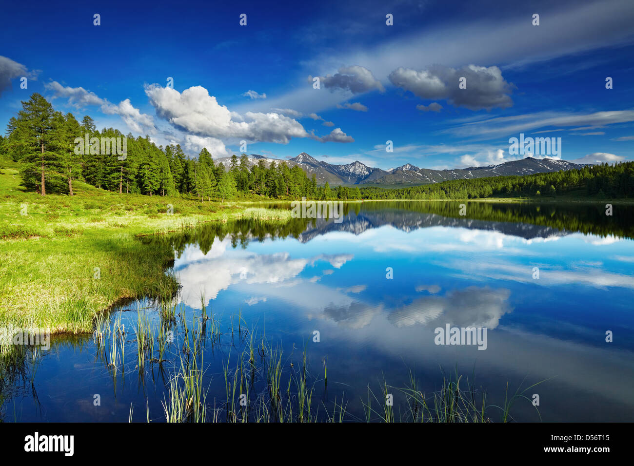 Beautiful lake in Altai mountains Stock Photo