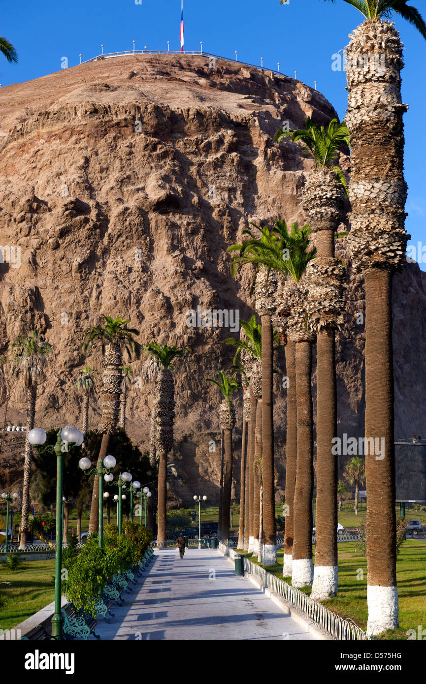 City park and cliffs overlooking Arica in Chile Stock Photo