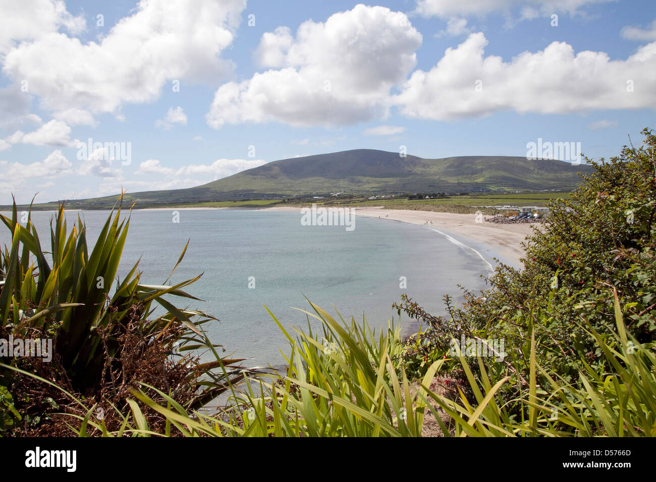Kerry, Dingle peninsula sea view Stock Photo Alamy