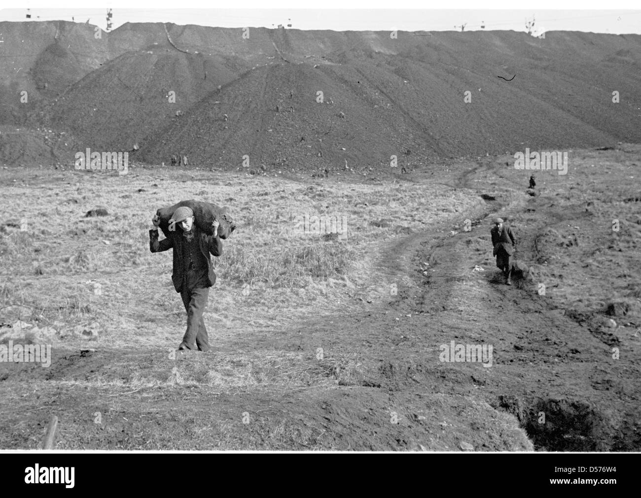 Historical 1940s. Wales. Local males carry and drag sacks of slate across a field from an open-cast quarry. Stock Photo