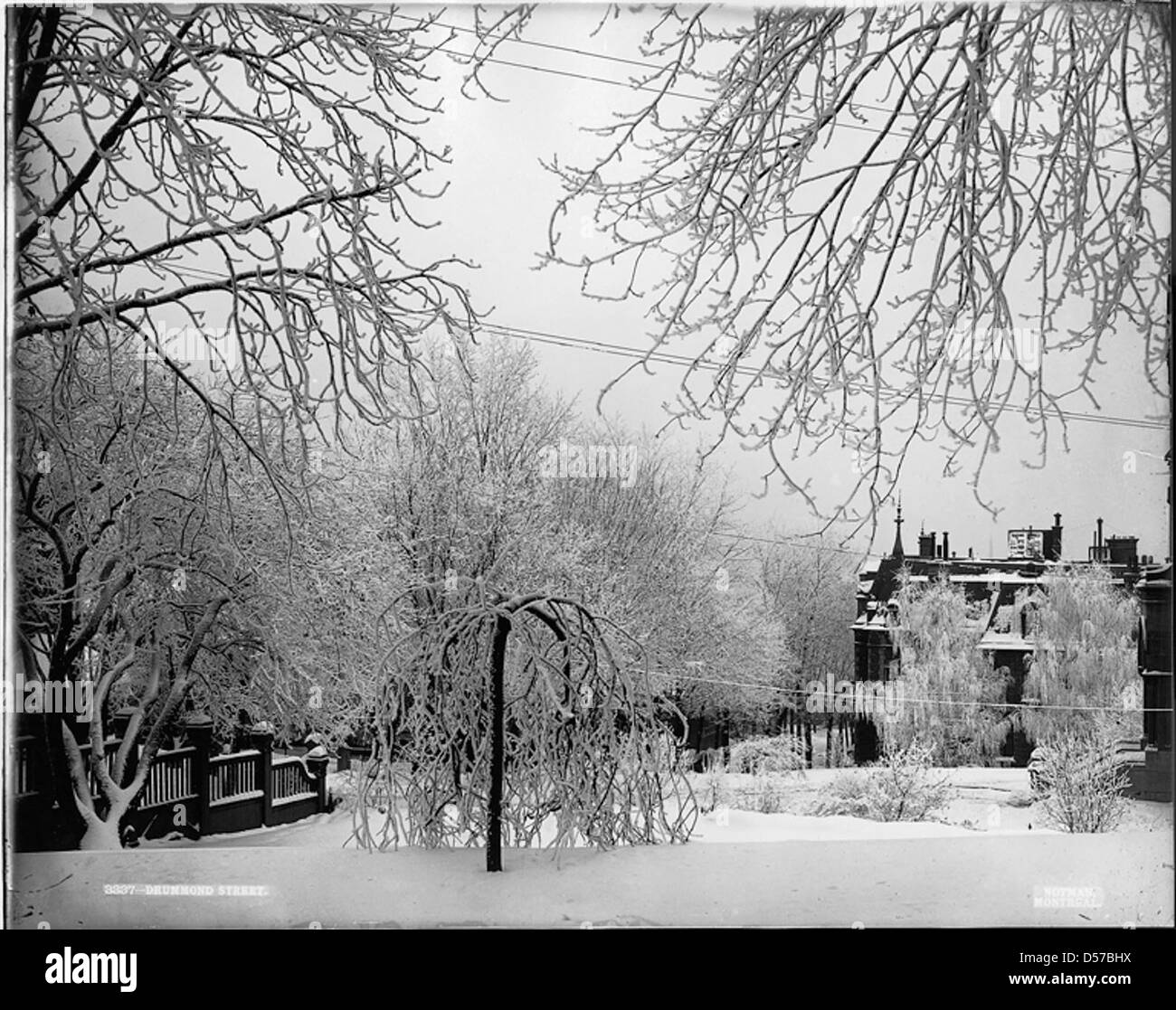 Drummond street hires stock photography and images Alamy